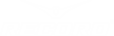 Logo of Record Moldova